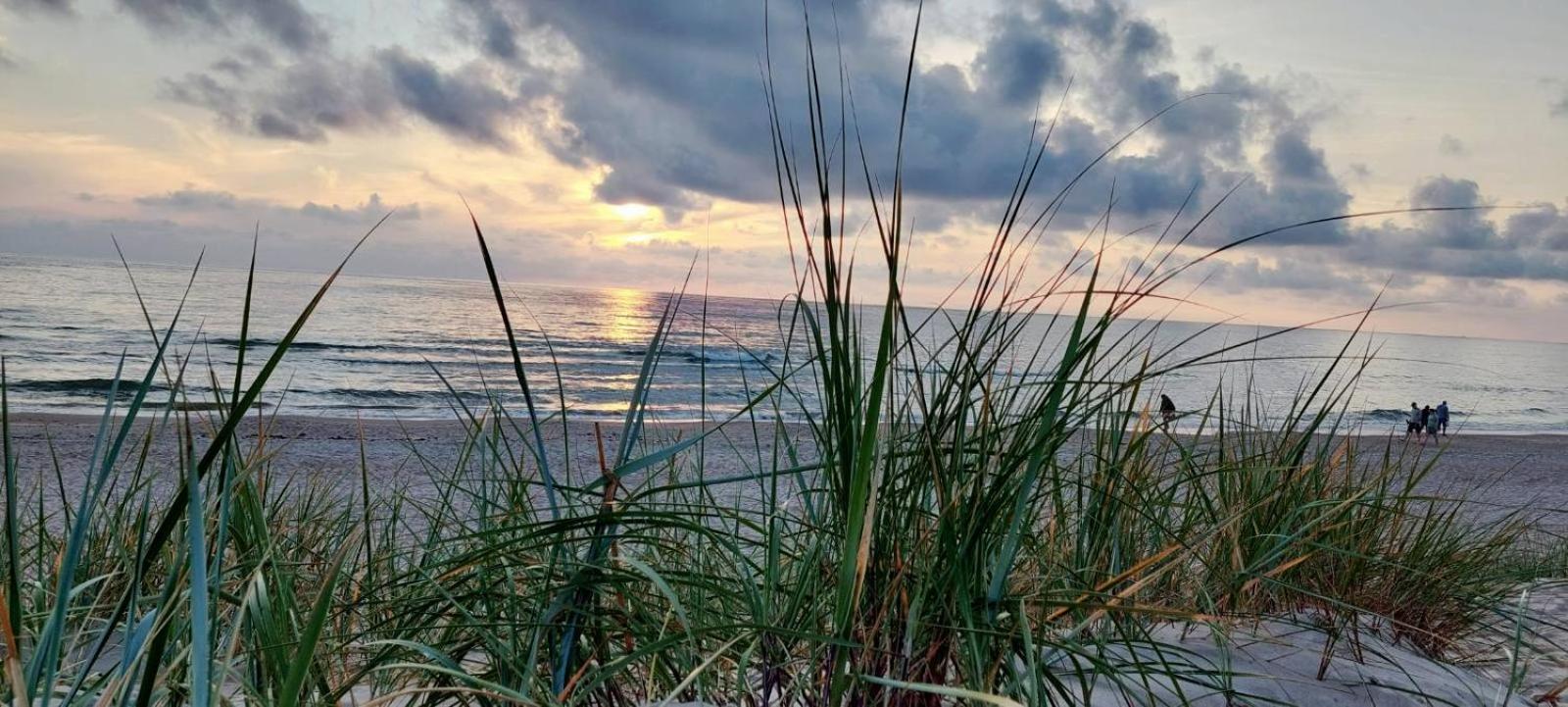 Gerves Apartamentai Palanga Dış mekan fotoğraf