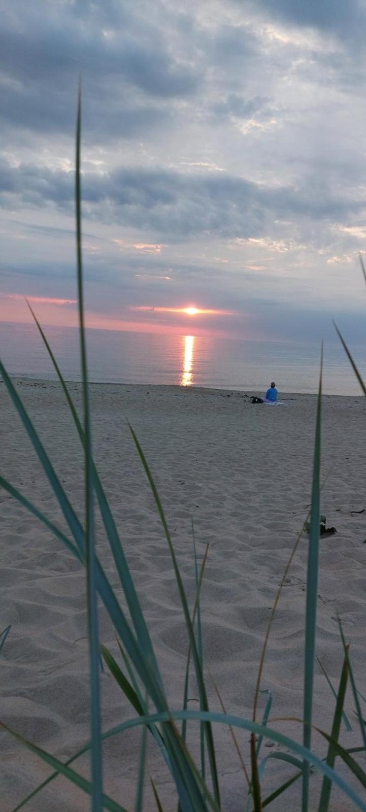 Gerves Apartamentai Palanga Dış mekan fotoğraf